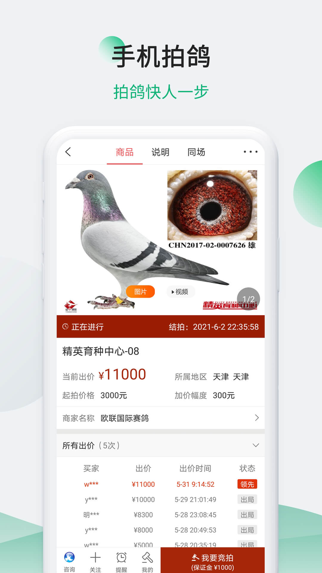 中国信鸽信息网截图4