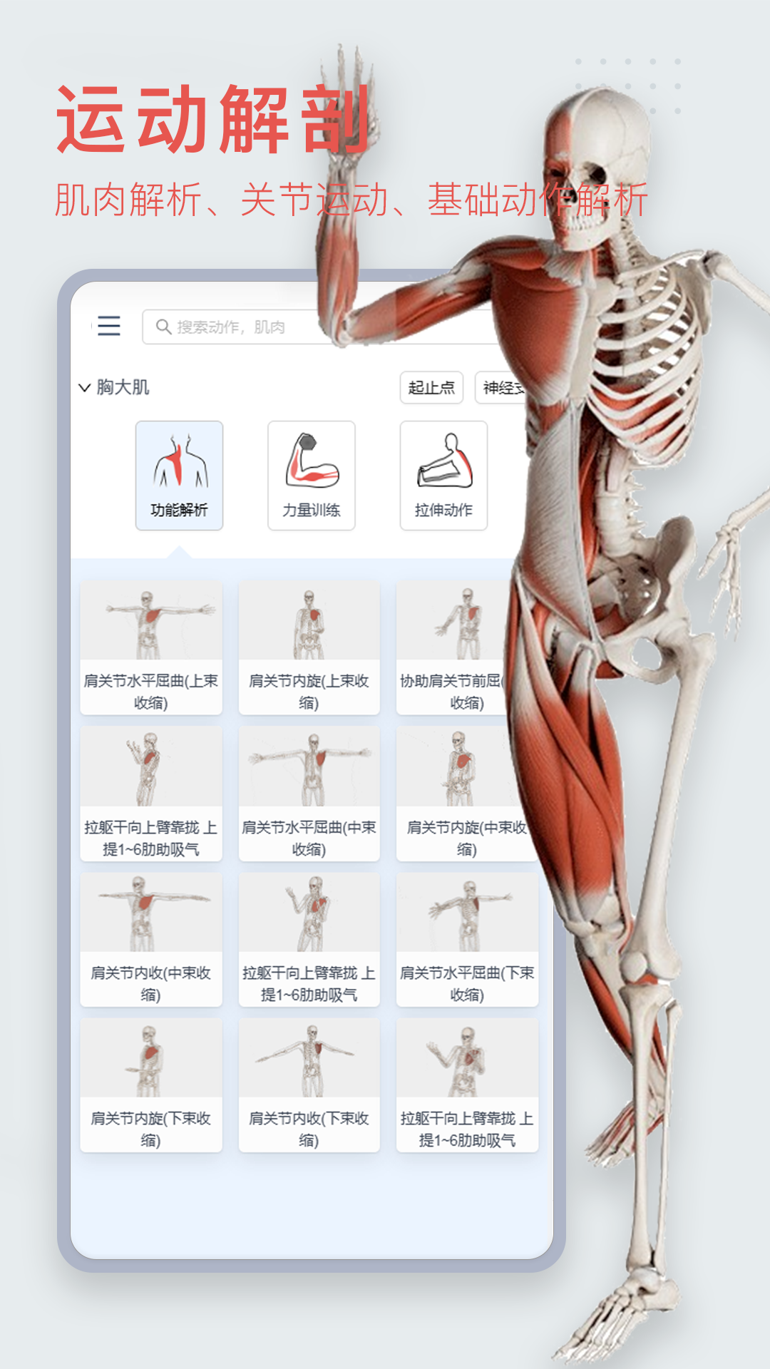 3Dbody解剖v8.7.40截图4