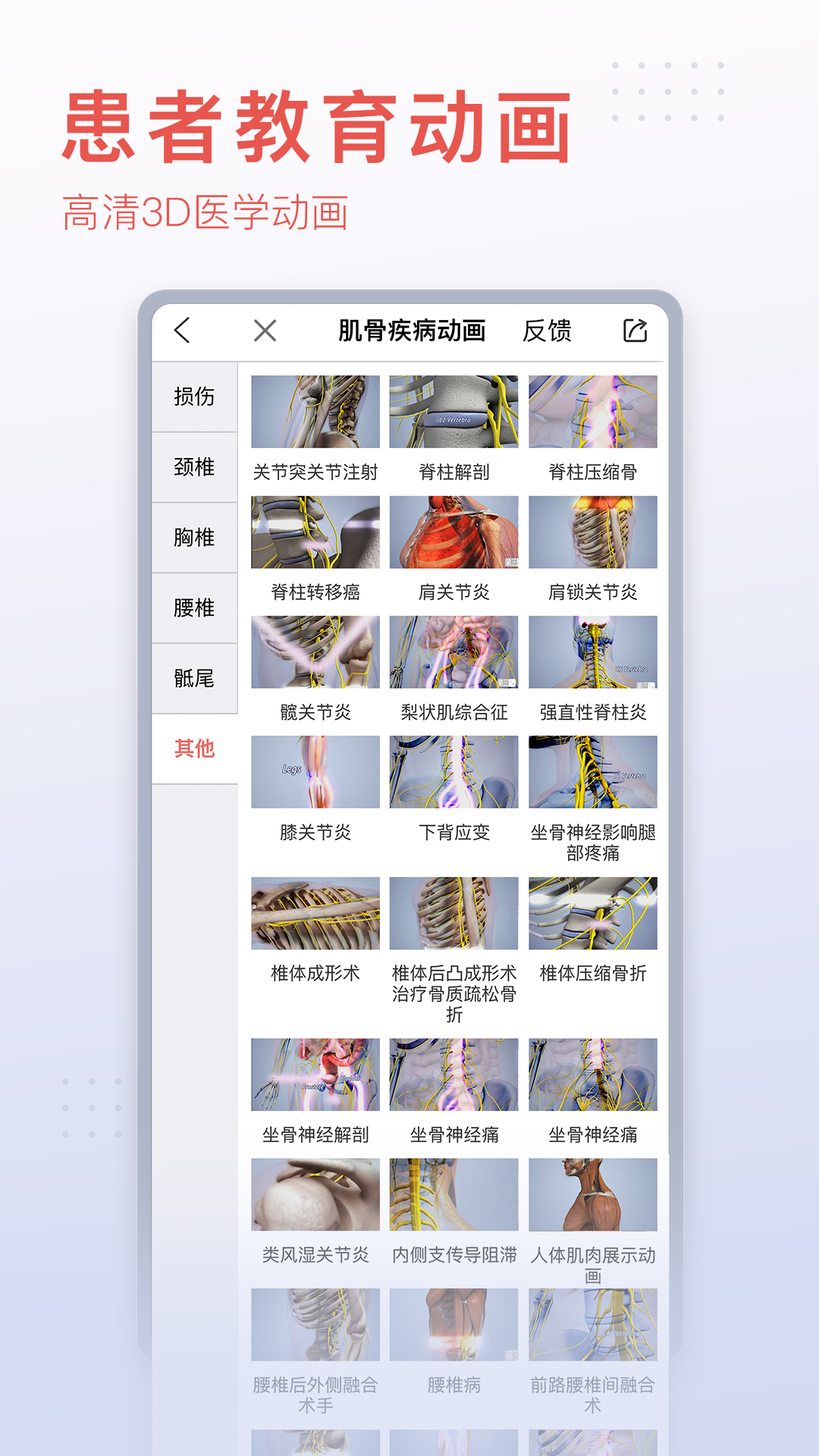 3Dbody解剖v8.7.40截图3