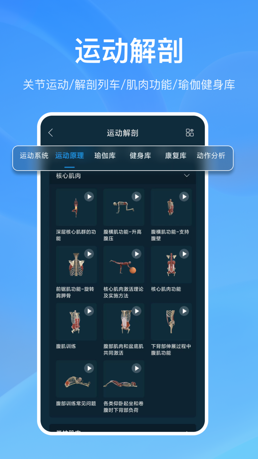 解剖大师-3d运动康复图库v3.8.0截图1