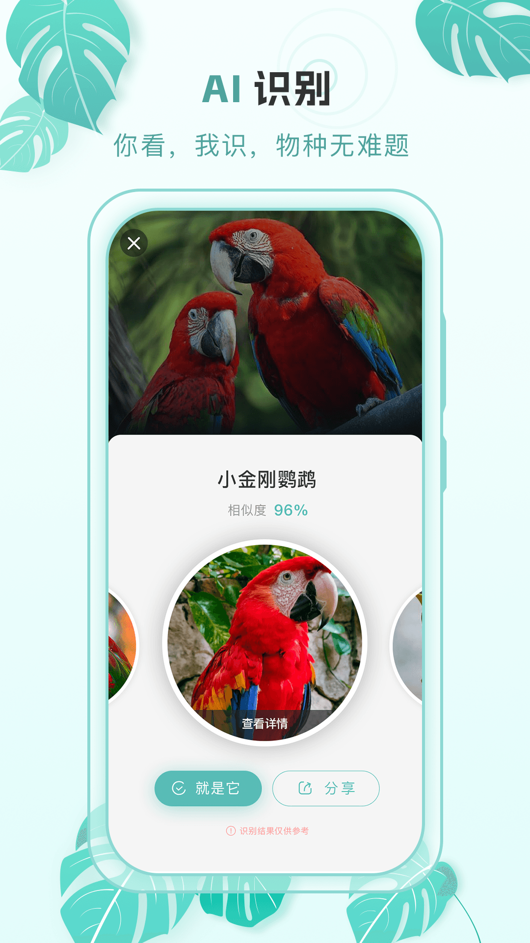 百科物语v1.0.5截图5