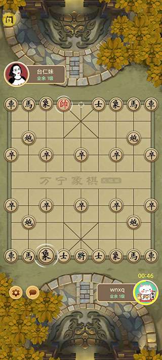 万宁象棋网页版截图4