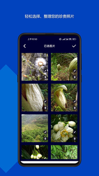 魔法音樂相冊(cè)截圖