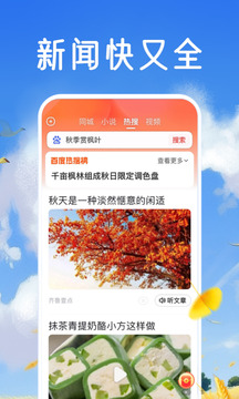 百度大字版截圖