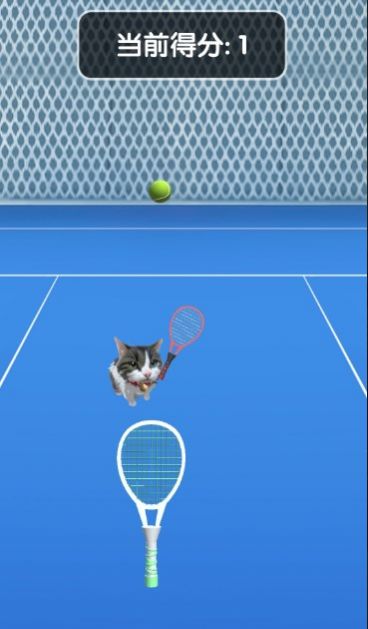 猫咪网球冠军截图3