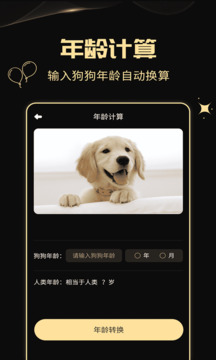 人狗交流神器截圖