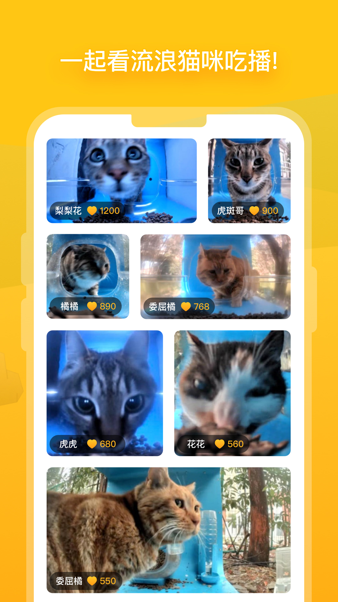 街猫v1.12.5截图3