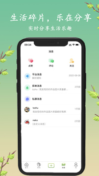 探枝截圖