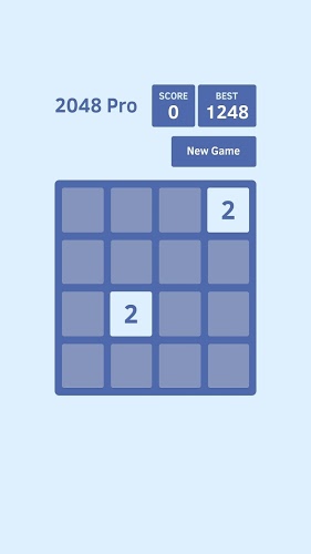 2048 Pro截图1