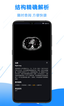 影像解剖圖譜截圖