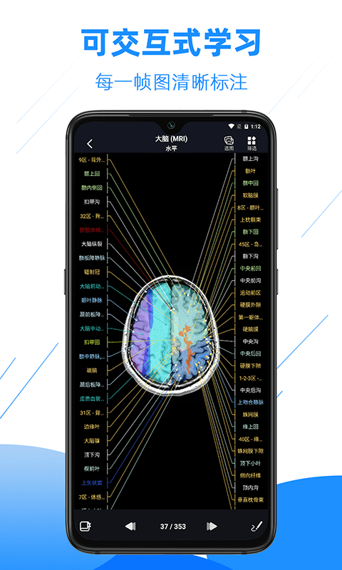 影像解剖图谱v3.9.2截图4