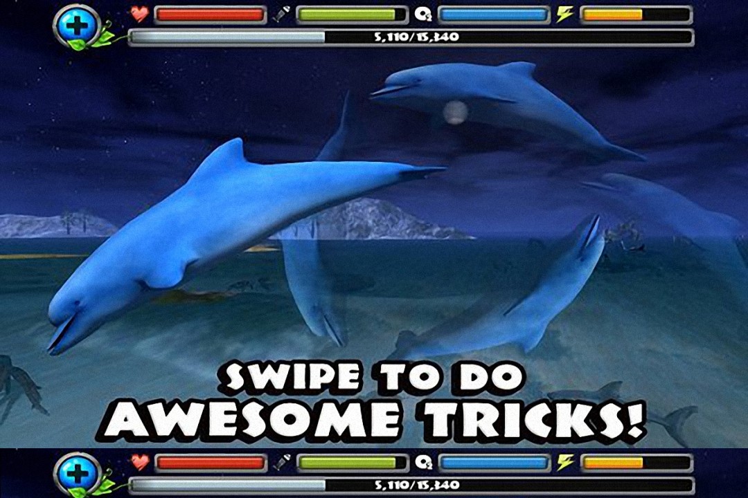 海豚模拟3D截图1