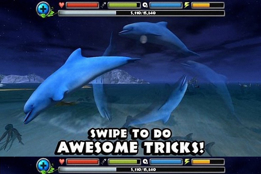 海豚模拟3D截图3