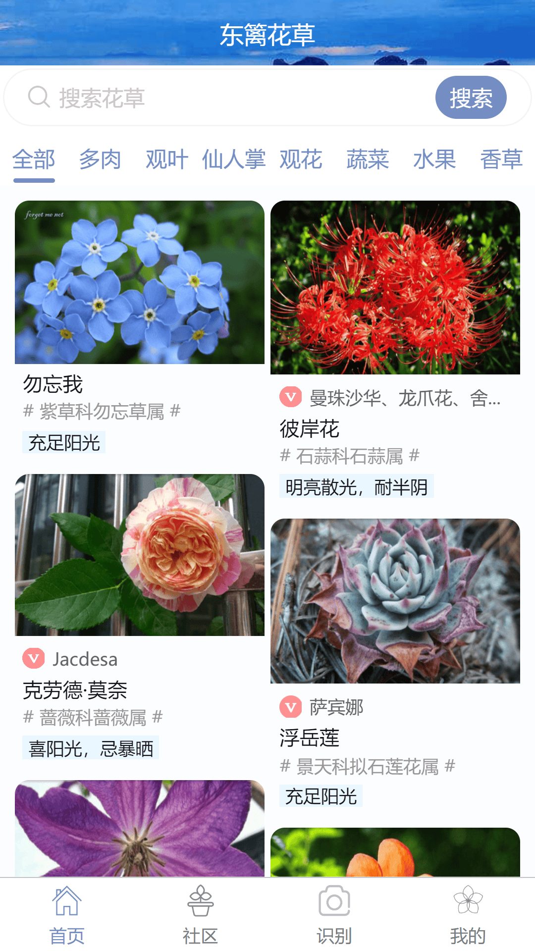 东篱花草v2.1.2截图5