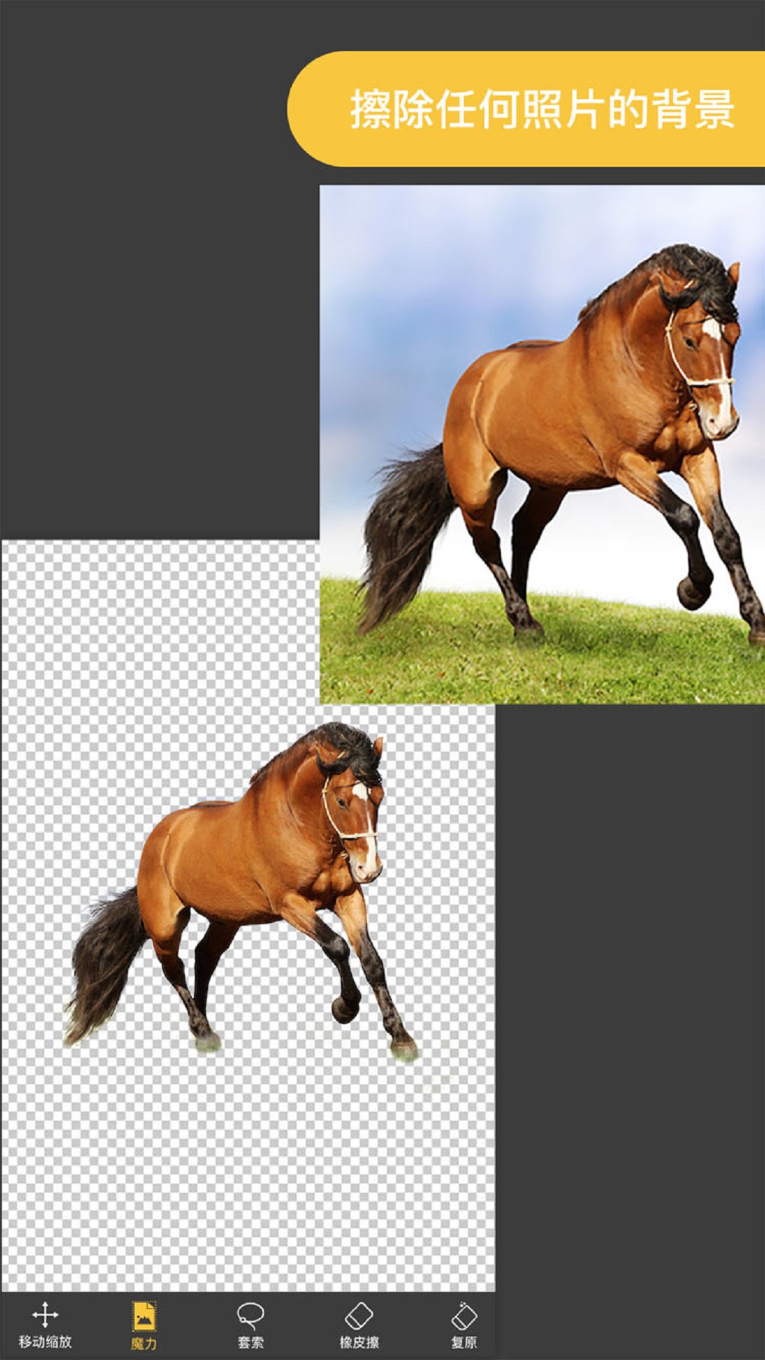 Knockout智能摳圖P圖截圖預覽