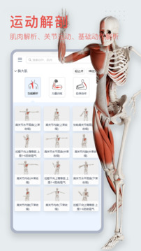 3Dbody解剖截图