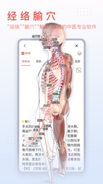 3Dbody解剖截图