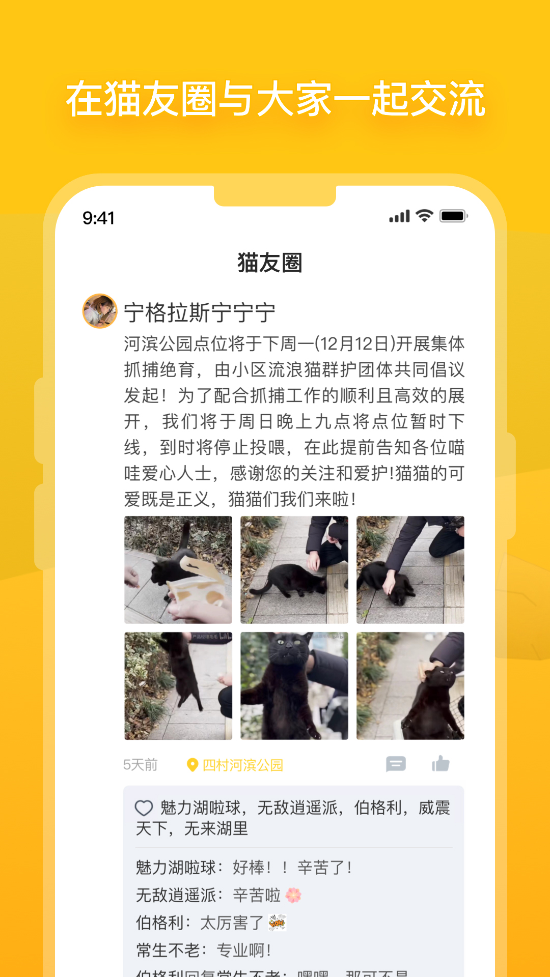 街猫v1.13.0截图4