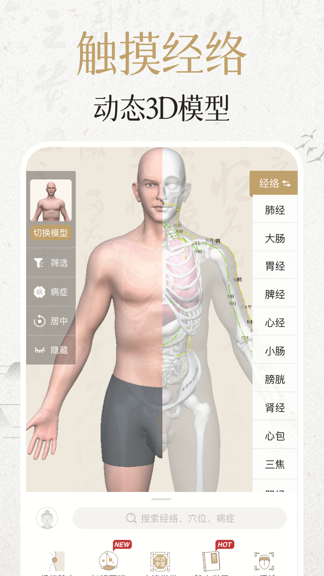 中濟(jì)經(jīng)絡(luò)穴位截圖預(yù)覽