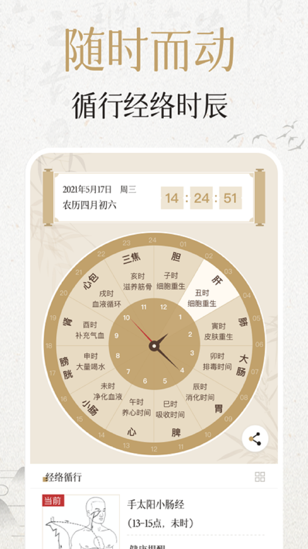 中濟(jì)經(jīng)絡(luò)穴位截圖預(yù)覽