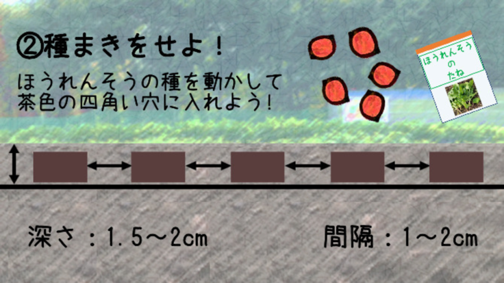 わたしのはたけ截图3