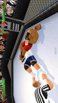 摔跤革命3D截图