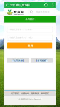 金苗網截圖