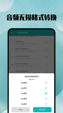 格式轉(zhuǎn)換截圖