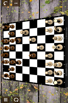 Classic chess截图