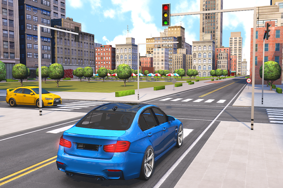 Driving School Fever截图5