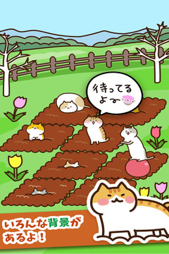 貓咪田園截圖