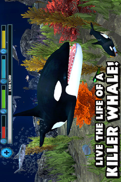 虎鲸模拟（免费版）截图