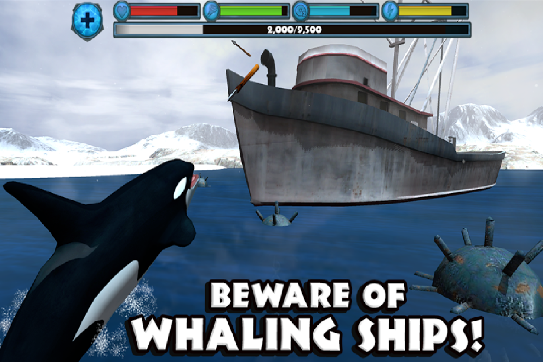 虎鲸模拟（免费版）截图4
