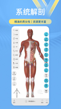 维萨里3D解剖截图