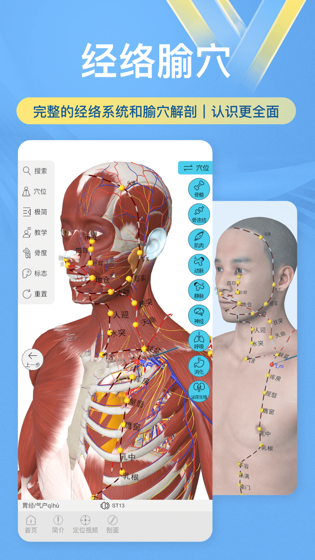 維薩里3D解剖截圖預(yù)覽