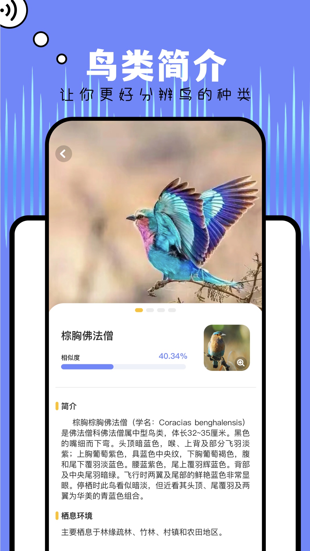 Papago翻译v1.1截图3