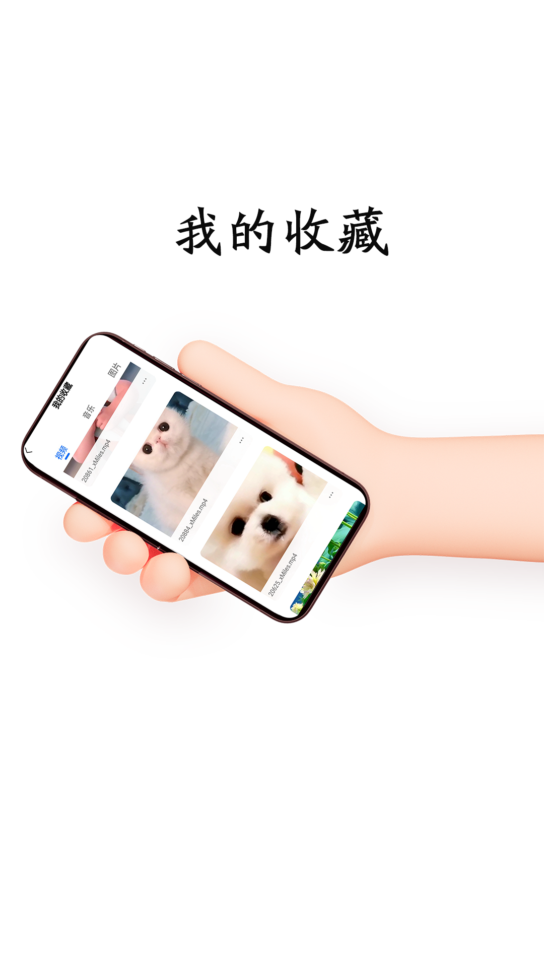 每日一劇截圖預(yù)覽