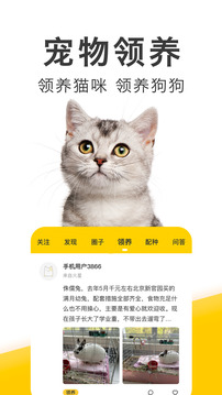 有只寵物截圖