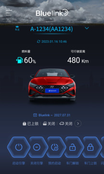 Bluelink截圖