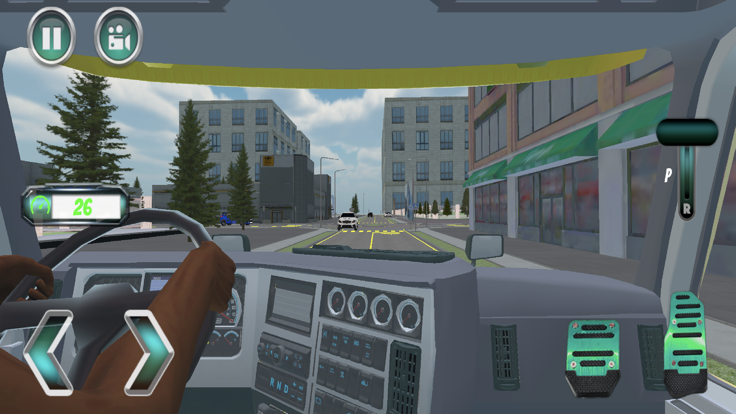 Oversized Truck Driver 3D Sim截图2