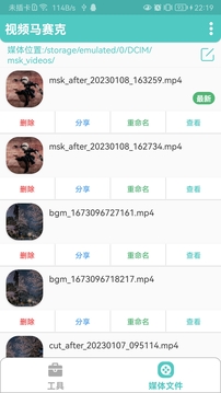 視頻馬賽克截圖