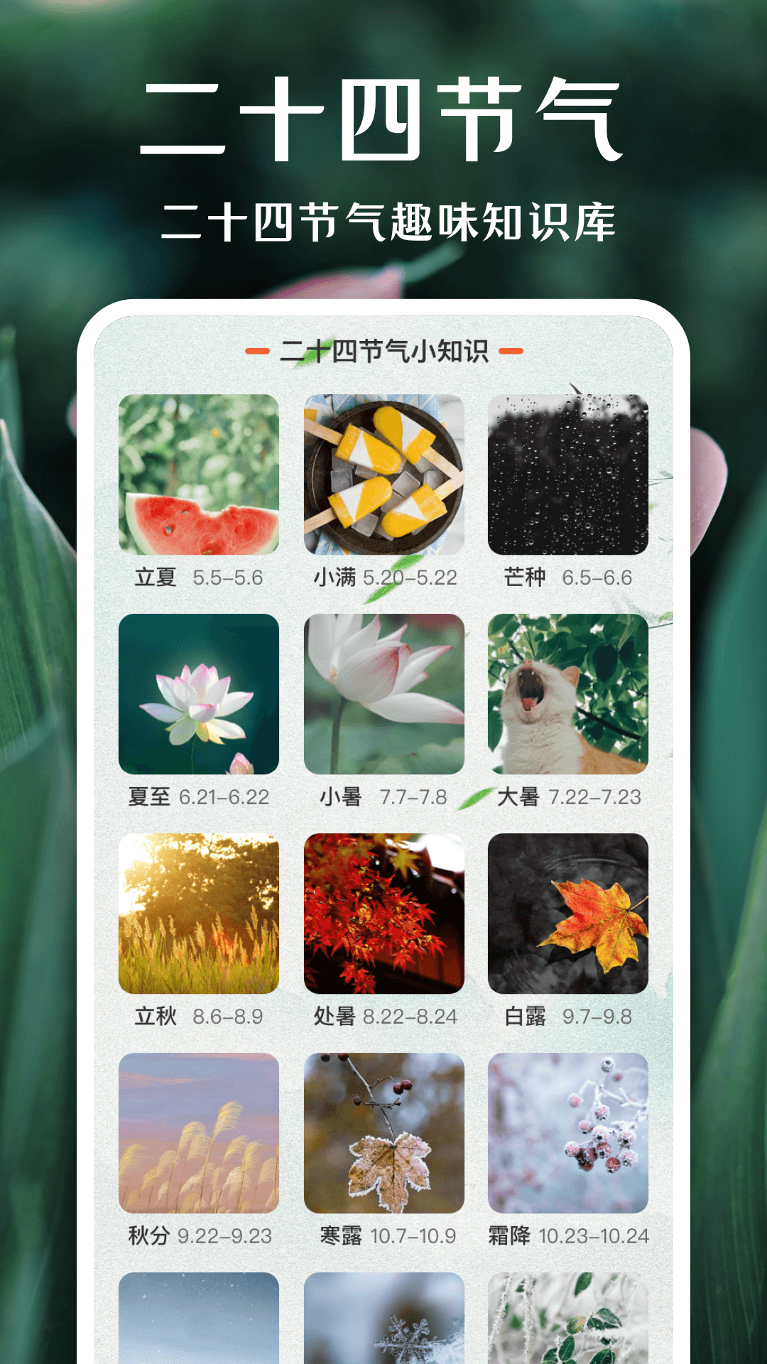 拍照识花v3.8.0截图1