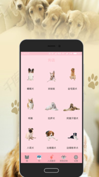 人貓狗交流器截圖