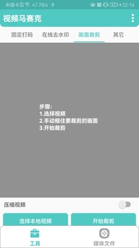 視頻馬賽克截圖