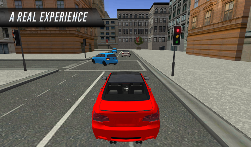 City Car Driving截图2