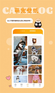 貓語狗語轉(zhuǎn)換器截圖
