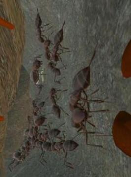 Ant Simulation 3D - Insect Survival Game截图