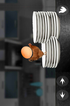 母鸡护蛋模拟器截图