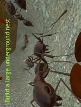 Ant Simulation 3D - Insect Survival Game截图