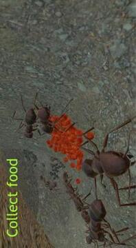 Ant Simulation 3D - Insect Survival Game截图